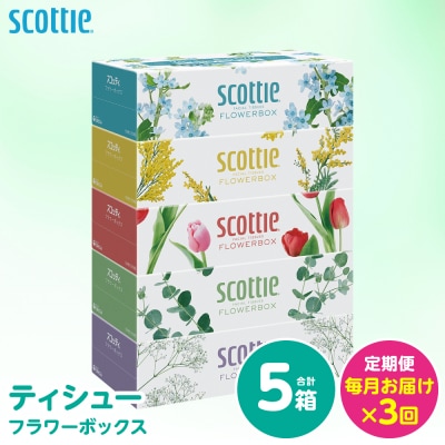 【毎月定期便】 ティッシュ 250組 5箱 日用品 スコッティ 全3回_186-6713