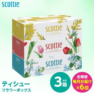 定期便6回・毎月お届け スコッティ ティシュー 3箱 計18箱_186-6712