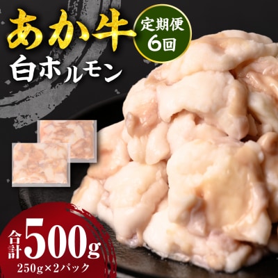 【定期便6回】 あか牛 白ホルモン 500g 250g×2パック_212-5155