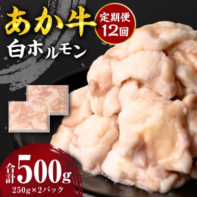 【定期便12回】 あか牛 白ホルモン 500g 250g×2パック_212-5156