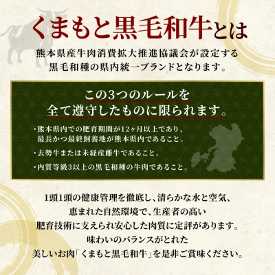 【訳あり】くまもと黒毛和牛 切り落とし 900g(300g×3)黒毛和牛_067-6065-A