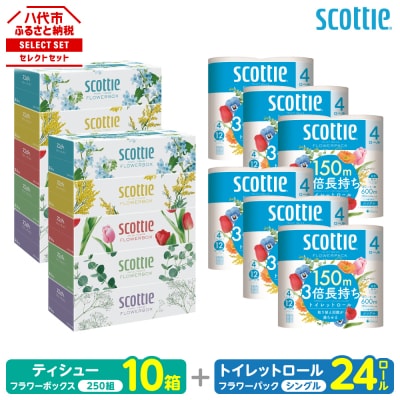 ティッシュ 250組10箱 + トイレットペーパー シングル 24ロールスコッティ_186-6550
