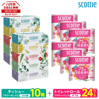 ティッシュ 250組10箱 + トイレットペーパー ダブル 24ロール スコッティ_186-6554