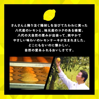 レモンケーキ 15個入 お菓子 焼き菓子 洋菓子 スイーツ_008-4015-D