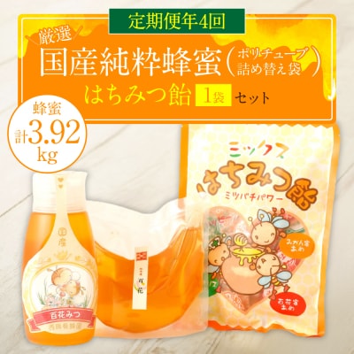 【定期便 年4回】【厳選】ポリチューブ蜂蜜&詰め替え袋+蜂蜜あめ袋_058-5194