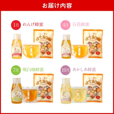 【定期便 年4回】【厳選】ポリチューブ蜂蜜&詰め替え袋+蜂蜜あめ袋_058-5194