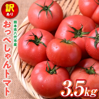 【訳あり】 おっぺしゃんトマト 3.5kg_271-6579-A