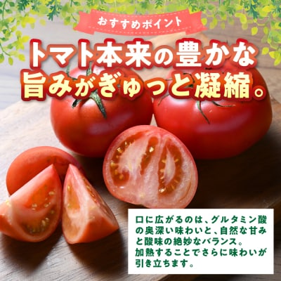 【訳あり】 おっぺしゃんトマト 3.5kg_271-6579-A