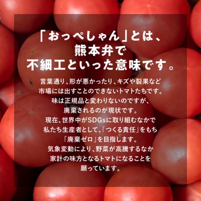 【訳あり】 おっぺしゃんトマト 3.5kg_271-6579-A