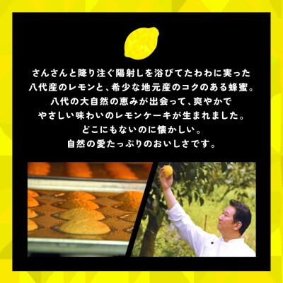 レモンケーキ 5個入 八代産レモン使用 焼き菓子 洋菓子_008-4000-C