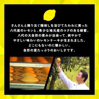 レモンケーキ 10個入 八代産レモン使用 焼き菓子 洋菓子_008-4014-C
