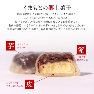 たつこおばあちゃんおすすめ いきなり団子 1個(60g) × 23個入_143-2243-C