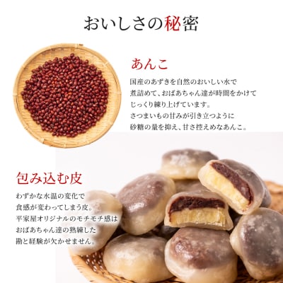 たつこおばあちゃんおすすめ いきなり団子 1個(60g) × 23個入_143-2243-C