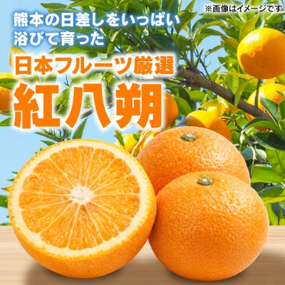 【先行予約】【訳あり】紅八朔 約4kg【2027年1月下旬より順次発送】_232-6805
