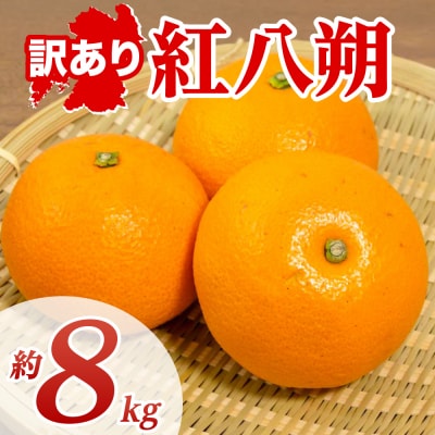 【先行予約】【訳あり】紅八朔 約8kg【2027年1月下旬より順次発送】_232-6806