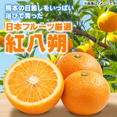 【先行予約】【訳あり】紅八朔 約8kg【2027年1月下旬より順次発送】_232-6806