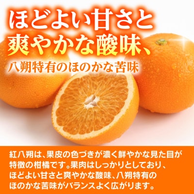 【先行予約】【訳あり】紅八朔 約8kg【2027年1月下旬より順次発送】_232-6806