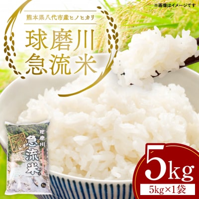 《令和7年産》熊本県八代市産 球磨川急流米 ヒノヒカリ 5kg_131-4799-D