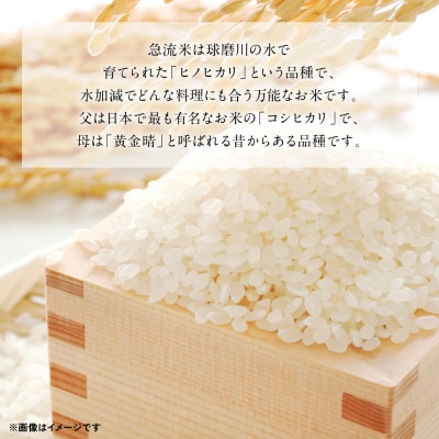 《令和7年産》熊本県八代市産 球磨川急流米 ヒノヒカリ 5kg_131-4799-D