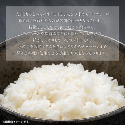 《令和7年産》熊本県八代市産 球磨川急流米 ヒノヒカリ 5kg_131-4799-D