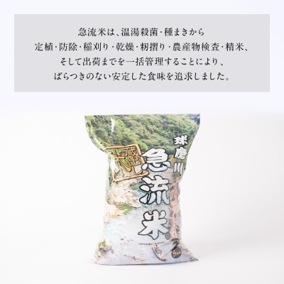 《令和7年産》熊本県八代市産 球磨川急流米 ヒノヒカリ 5kg_131-4799-D