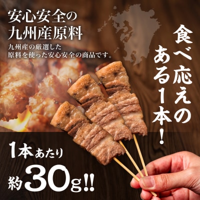 九州産 豚バラ串 40本 合計1.2kg 豚バラ_080-3038-C