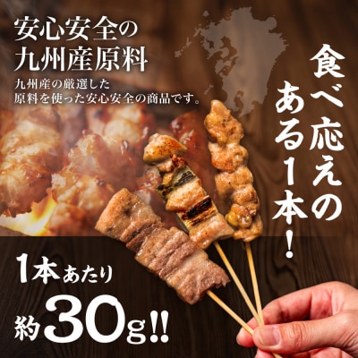 九州産 焼き鳥 セット 50本 やきとり BBQ_080-3034-D