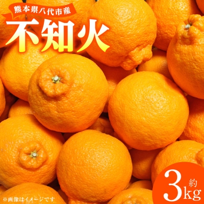 【先行予約】不知火 約3kg【2027年1月中旬より順次発送】_001-4030-E