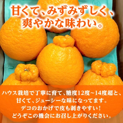 【先行予約】不知火 約3kg【2027年1月中旬より順次発送】_001-4030-E