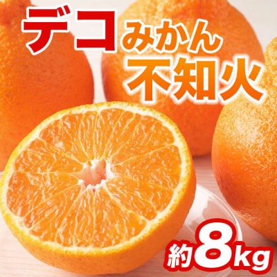 【先行予約】不知火 約8kg (18～37玉)【2027年2月上旬より順次発送】_232-6637