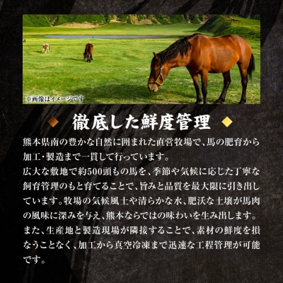 国産 熊本肥育 赤身 馬刺し 合計500g (100g×5パック)_298-6813