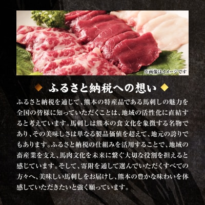 国産 熊本肥育 赤身 馬刺し 合計500g (100g×5パック)_298-6813
