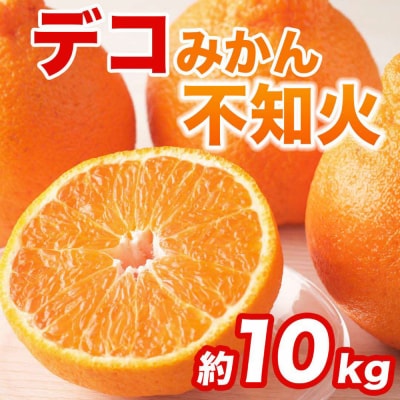 【先行予約】不知火 約10kg(24～48玉) 【2027年2月上旬より順次発送】_232-6638