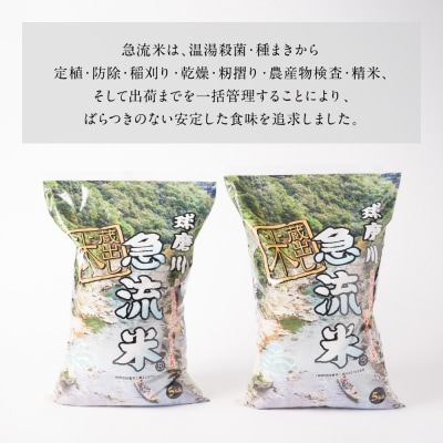 《令和7年産》熊本県八代市産 球磨川急流米 ヒノヒカリ 10kg_131-4800-D