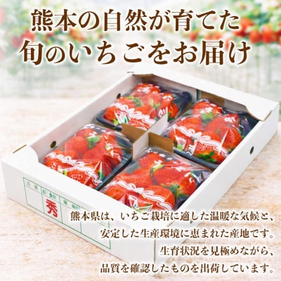 【先行予約】いちご 約2kg(約250g×8)【2027年1月上旬より順次発送】_232-4628