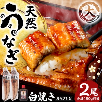 熊本県八代市産 天然うなぎ 白焼 (大) 2尾 合計450g前後_018-6822