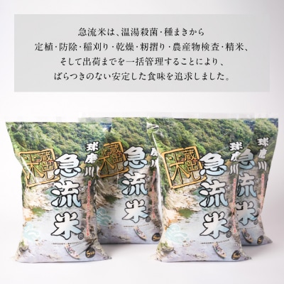 《令和7年産》熊本県八代市産 球磨川急流米 ヒノヒカリ 20kg_131-4801-D