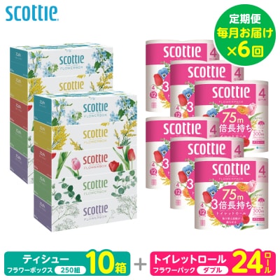 【毎月定期便】ティッシュ10箱+トイレットペーパーダブル24ロールスコッティ全6回_186-6668