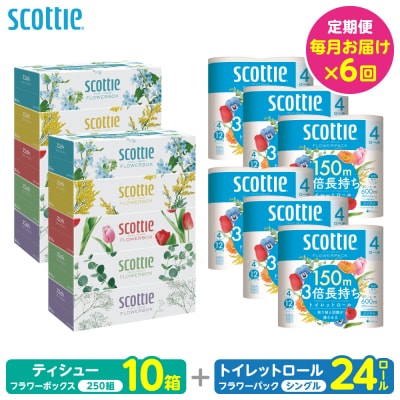【毎月定期便】ティッシュ10箱+トイレットペーパーシングル24ロールスコッティ6回_186-6666