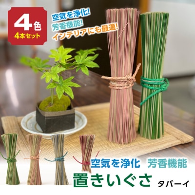 置きいぐさ(タバーイ)4本セット(赤、青、緑、ピンク)_024-4649