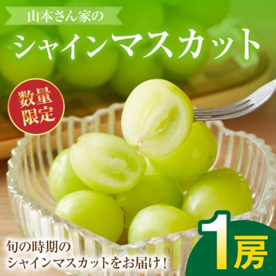【先行予約】山本さん家のシャインマスカット 約500g【2026年8月上旬より順次発送】