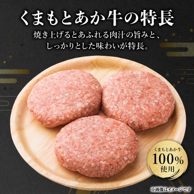 GI認証 くまもとあか牛100%使用 くまもとあか牛ハンバーグ 150g×6個_229-6705