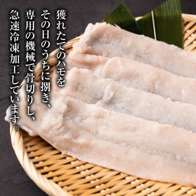 018-4624_熊本県八代市産 骨切りハモ(小サイズ)200g×2