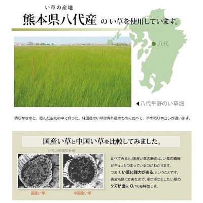 い草上敷き【不知火】江戸間6畳_022-4479