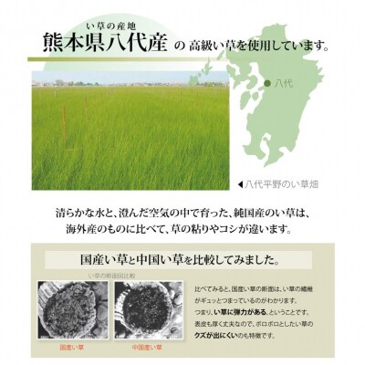 い草上敷き【清正】江戸間4.5畳_022-4480