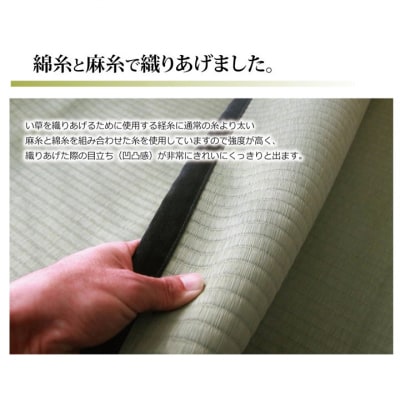 い草上敷き【清正】江戸間6畳_022-4481