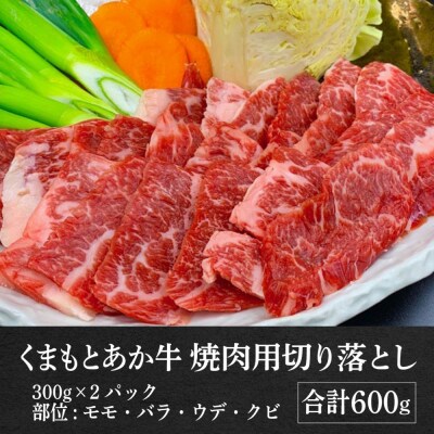 熊本県産 GI認証取得 くまもとあか牛 焼き肉用切り落とし 合計600g_229-4104-D