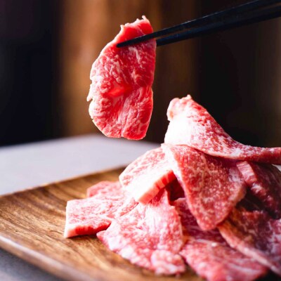 熊本県産 GI認証取得 くまもとあか牛 焼き肉用切り落とし 合計600g_229-4104-D