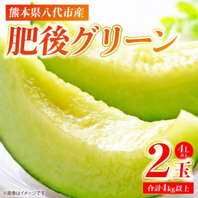 肥後グリーン 2玉 4L以上(合計4kg以上)メロン 果物_248-5990-B