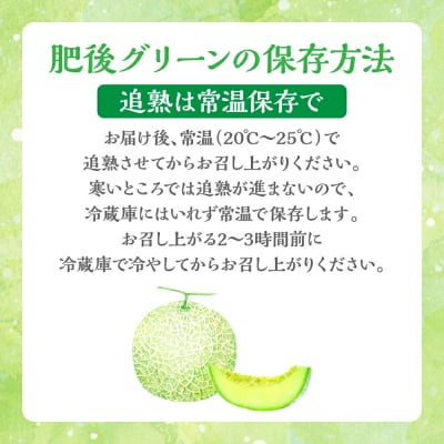 肥後グリーン 2玉 4L以上(合計4kg以上)メロン 果物_248-5990-B
